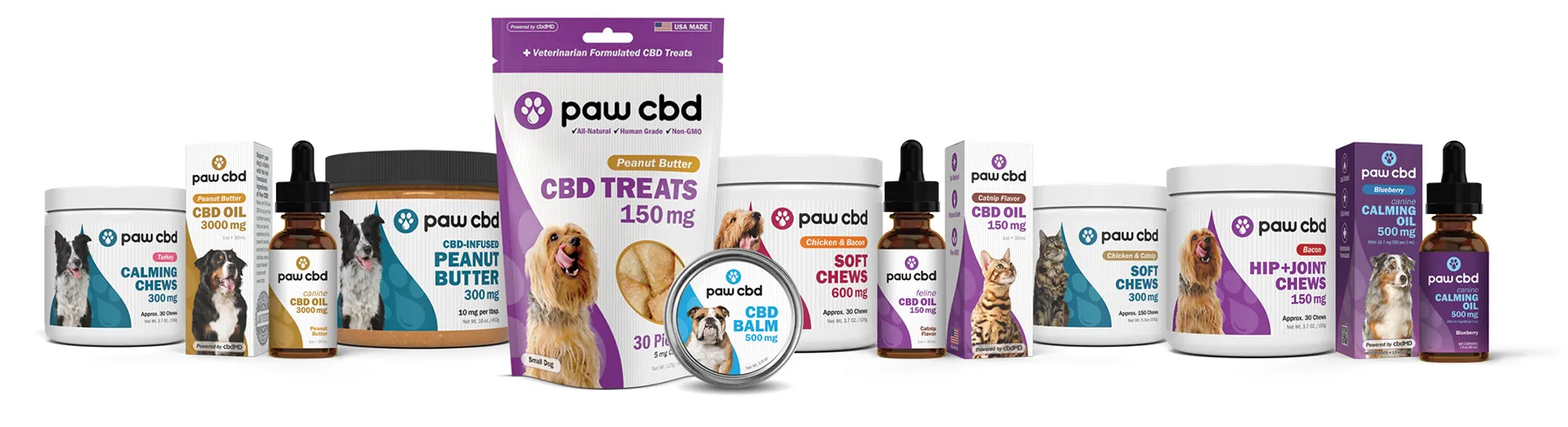 Can CBD Oil Help When Traveling with Pets?